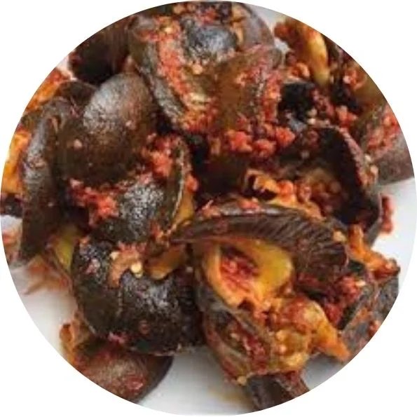 Peppered Snail