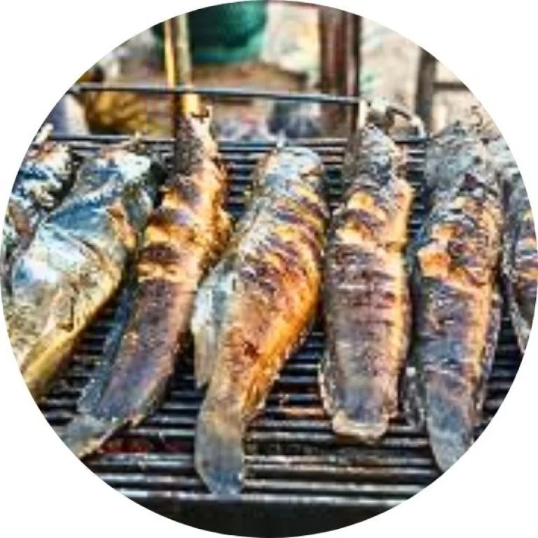 Barbecue Fish